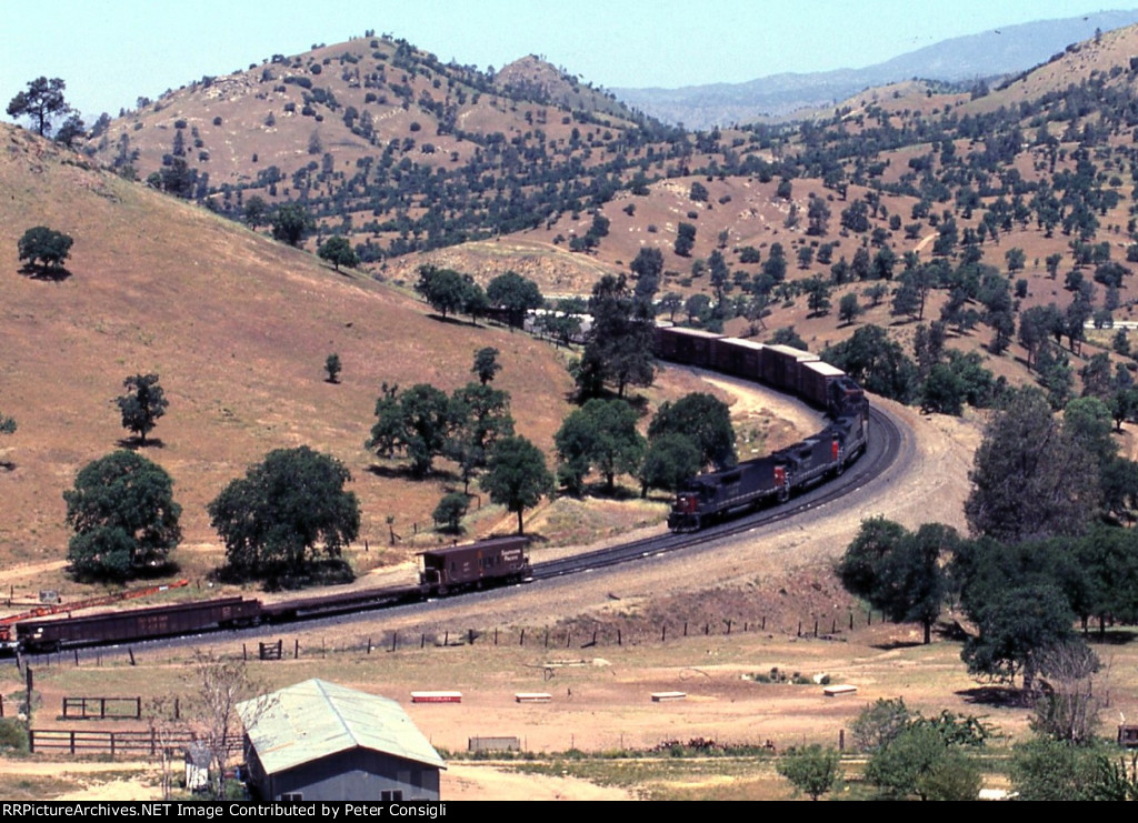 5 SP SDs passing Work Train